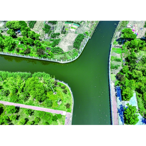 南通白廟龍河整治